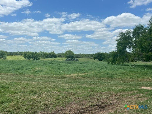 House in Floresville, Texas, United States 5 - 17945631