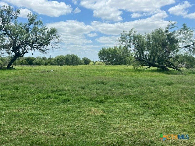 House in Floresville, Texas, United States 3 - 17945631
