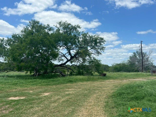House in Floresville, Texas, United States 1 - 17945631