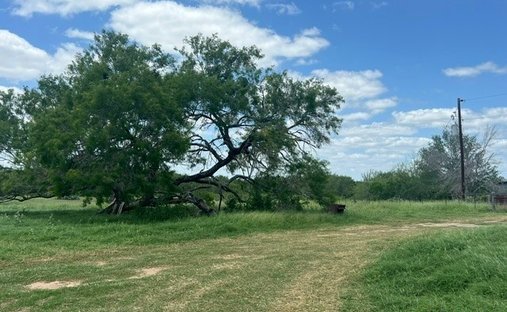 House in Floresville, Texas, United States 1