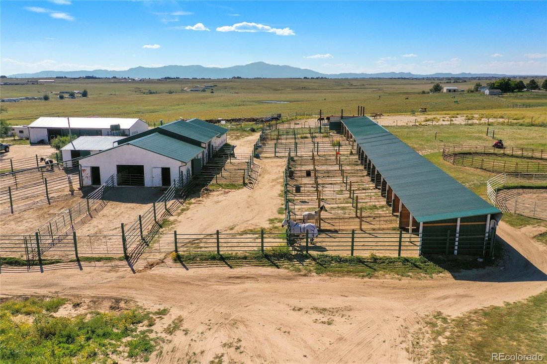 House in Peyton, Colorado, United States 4 - 17675776