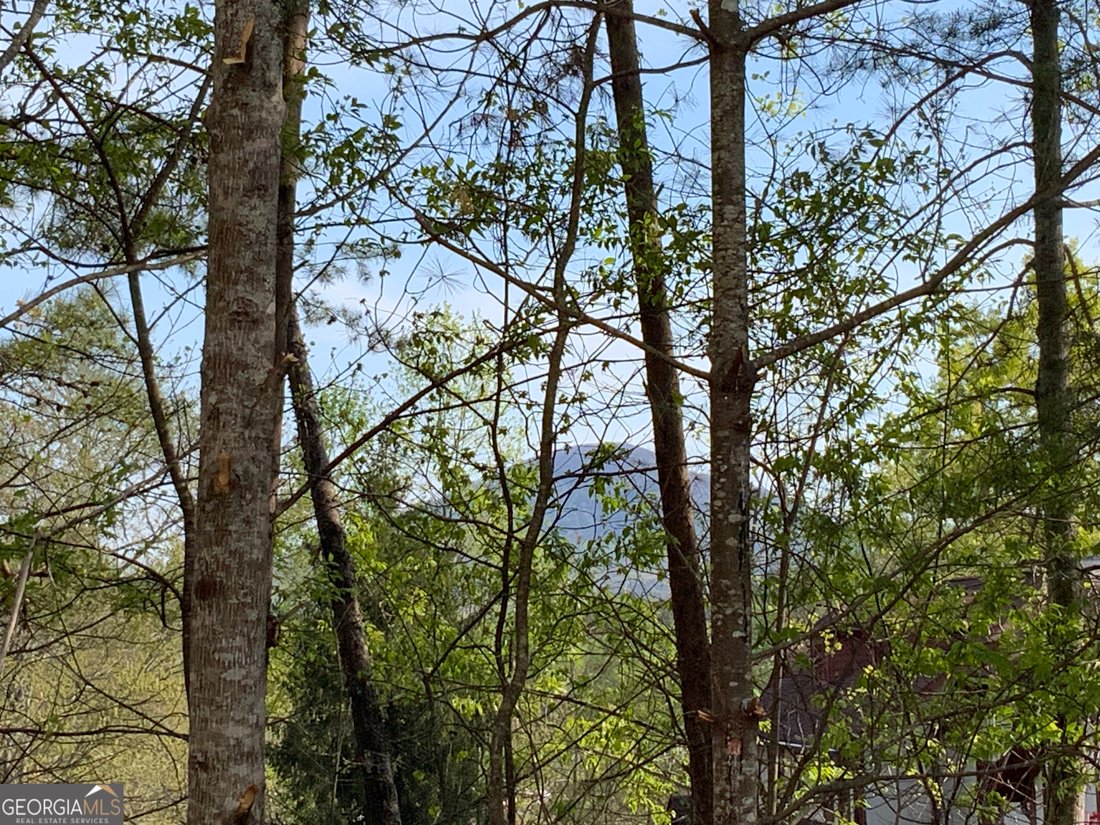 Townhouse in Helen, Georgia, United States 5 - 17946503