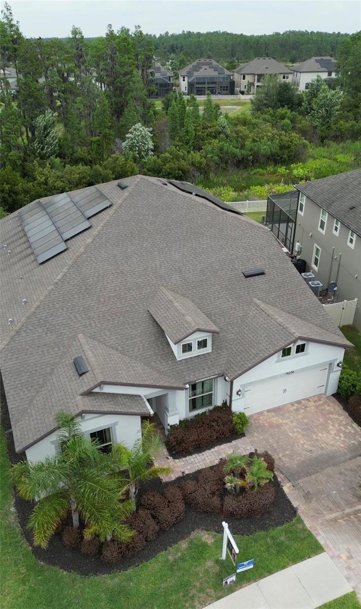 House in Tampa, Florida, United States 4 - 17182477