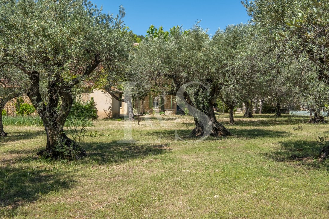 House in Beaumes-de-Venise, Provence-Alpes-Côte d'Azur, France 4 - 17953874