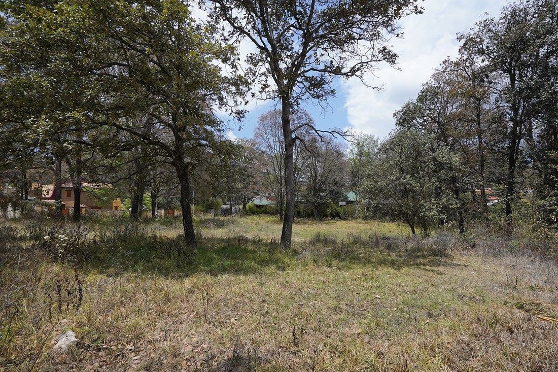 Land in San Cristobal de las Casas, Chiapas, Mexico 5 - 17954664