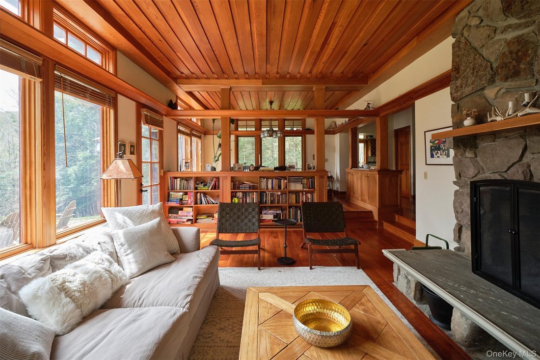 House in Livingston Manor, New York, United States 5 - 17953787