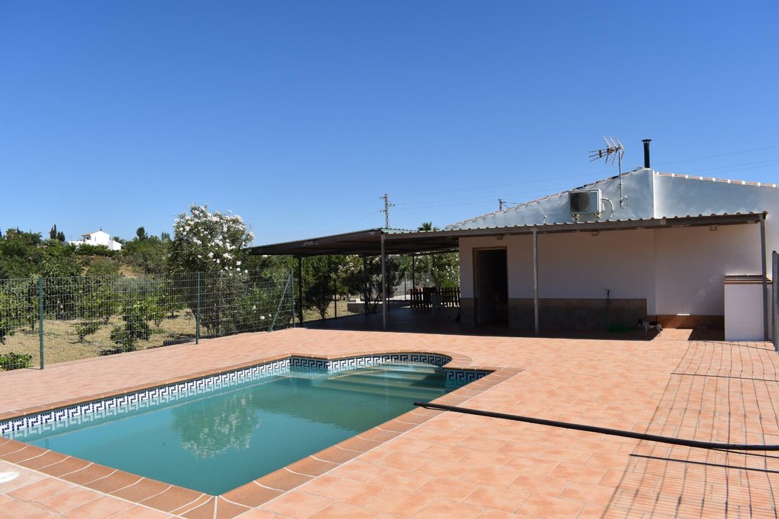 Finca in Alhaurin el Grande, Andalusia, Spain 1 - 17947481