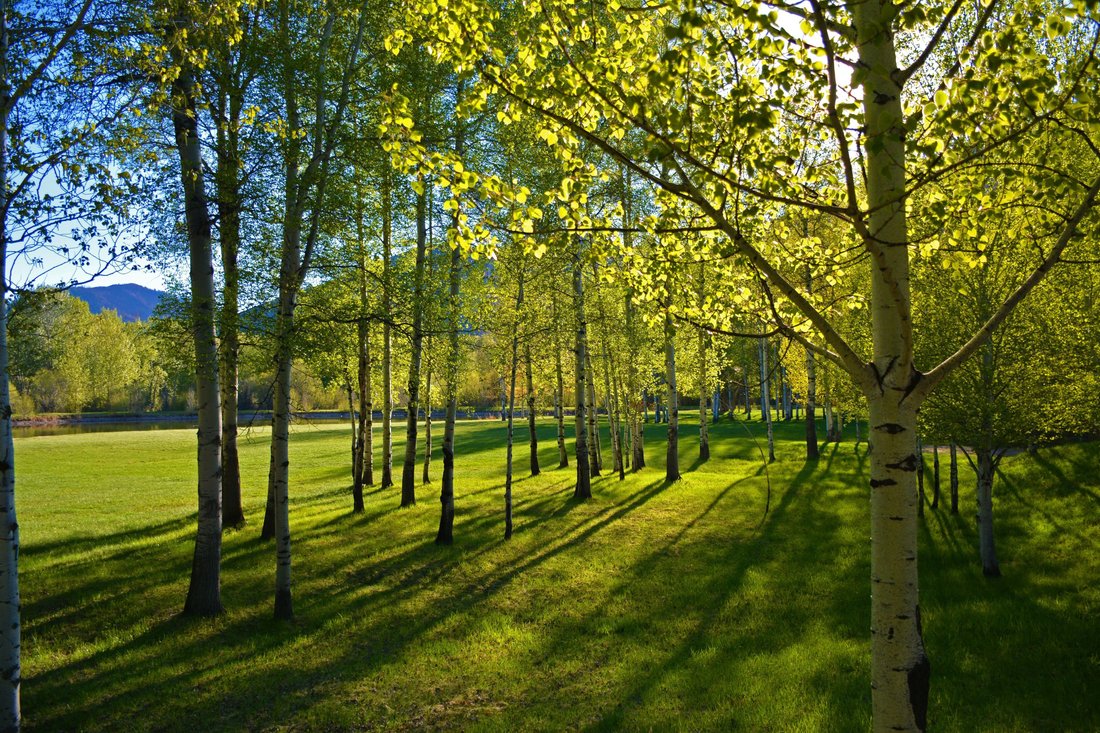 Land in Ketchum, Idaho, United States 4 - 17955654