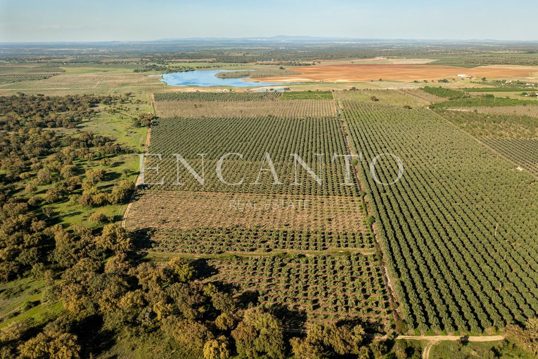 Estate in Cano, Portalegre District, Portugal 1 - 17954303