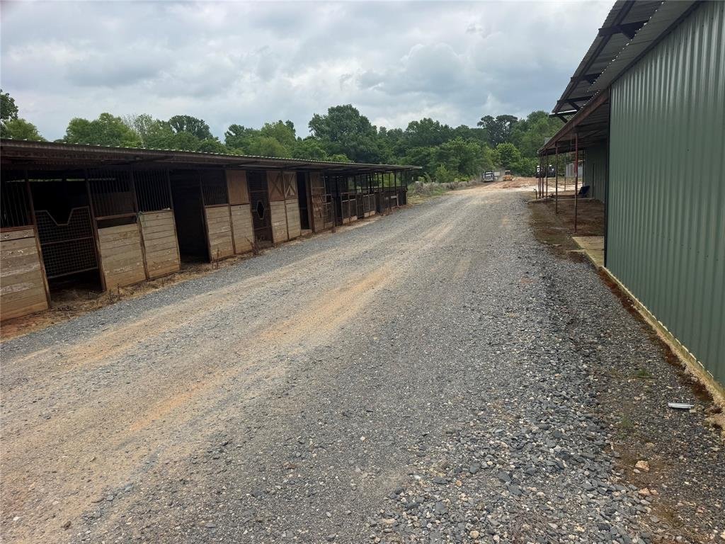 Farm Ranch in Benton, Louisiana, United States 4 - 17952231