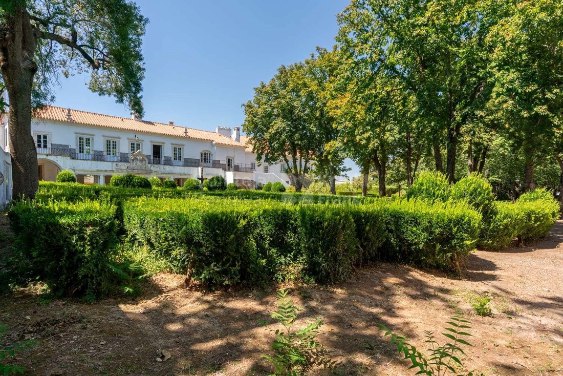 Finca in Borba (Matriz), Évora District, Portugal 2 - 15015524