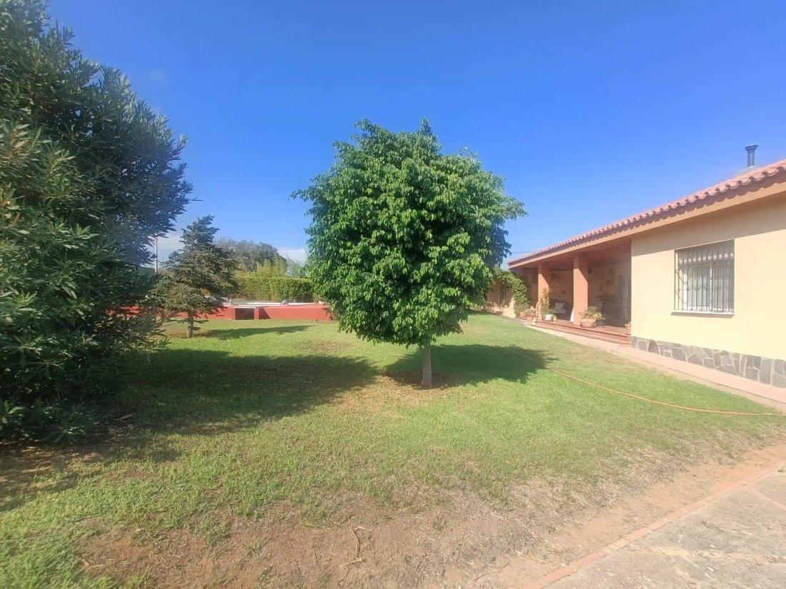 Finca in Alhaurin el Grande, Andalusia, Spain 5 - 17947395