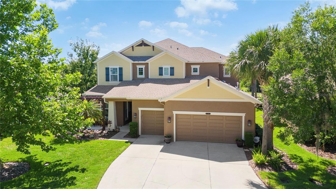 House in Land O' Lakes, Florida, United States 2 - 17951576