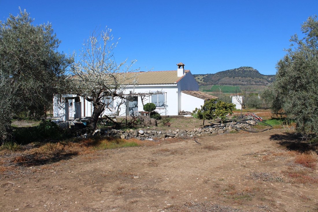 House in Arriate, Andalusia, Spain 3 - 17947673
