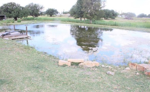 Land in Richland Springs, Texas, United States 1