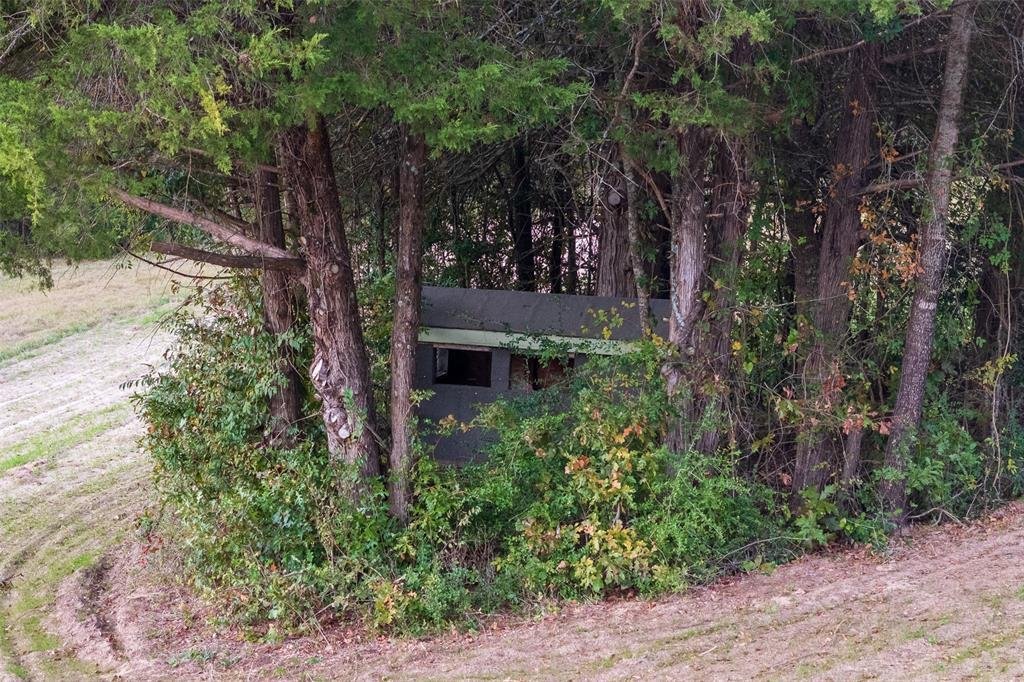 Farm Ranch in Troup, Texas, United States 4 - 17952584