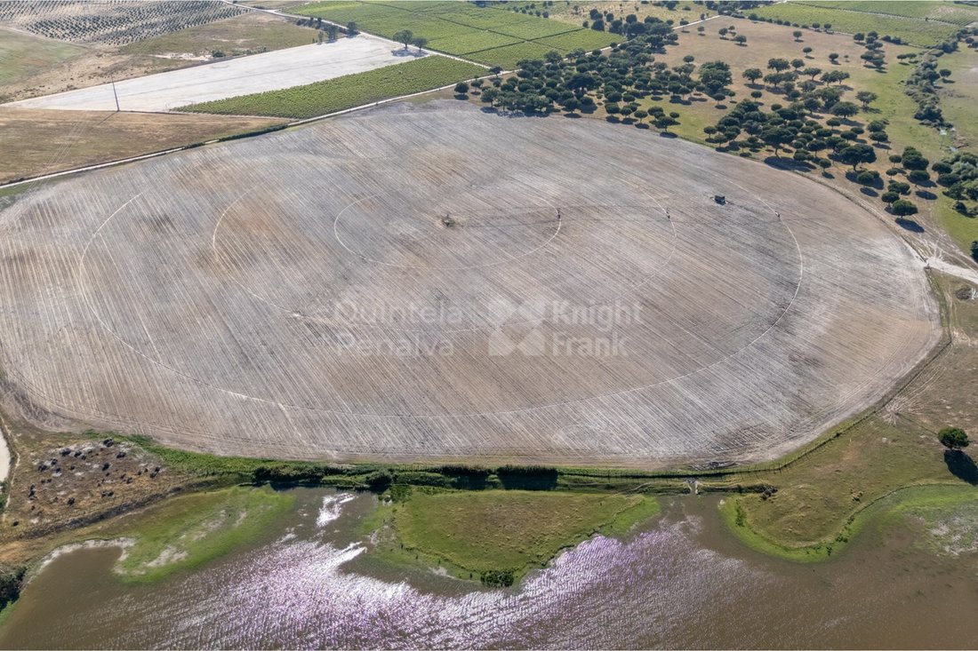 Land in Palmela, Setubal, Portugal 4 - 17954335