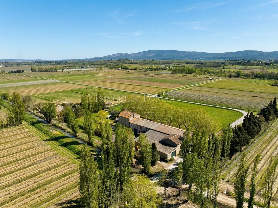 Farm Ranch in Puichéric, Occitania, France 2 - 16969078