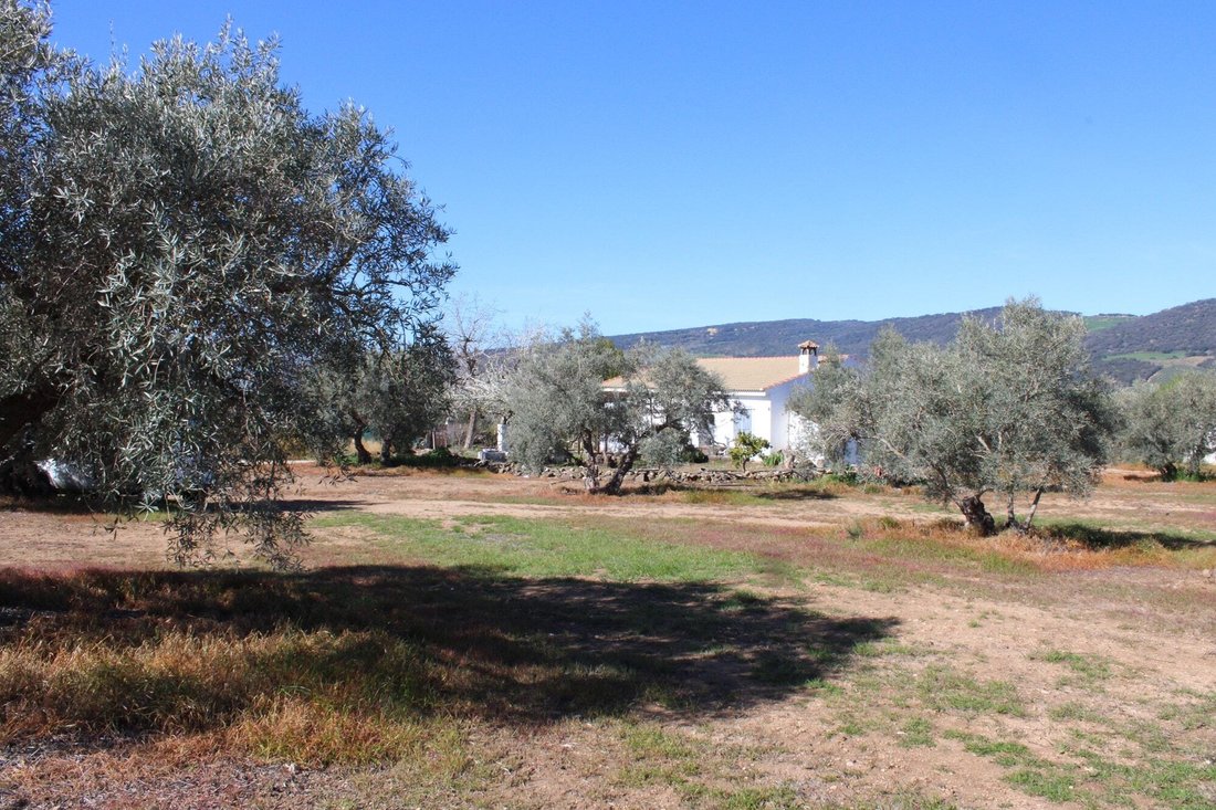House in Arriate, Andalusia, Spain 1 - 17947673
