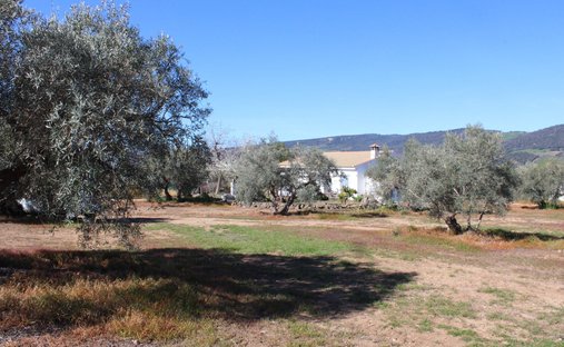 House in Arriate, Andalusia, Spain 1