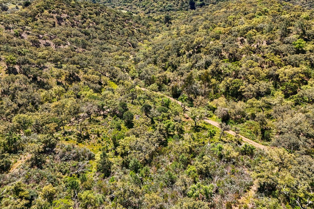 Land in Grandola e Santa Margarida da Serra, Setubal, Portugal 1 - 17955560