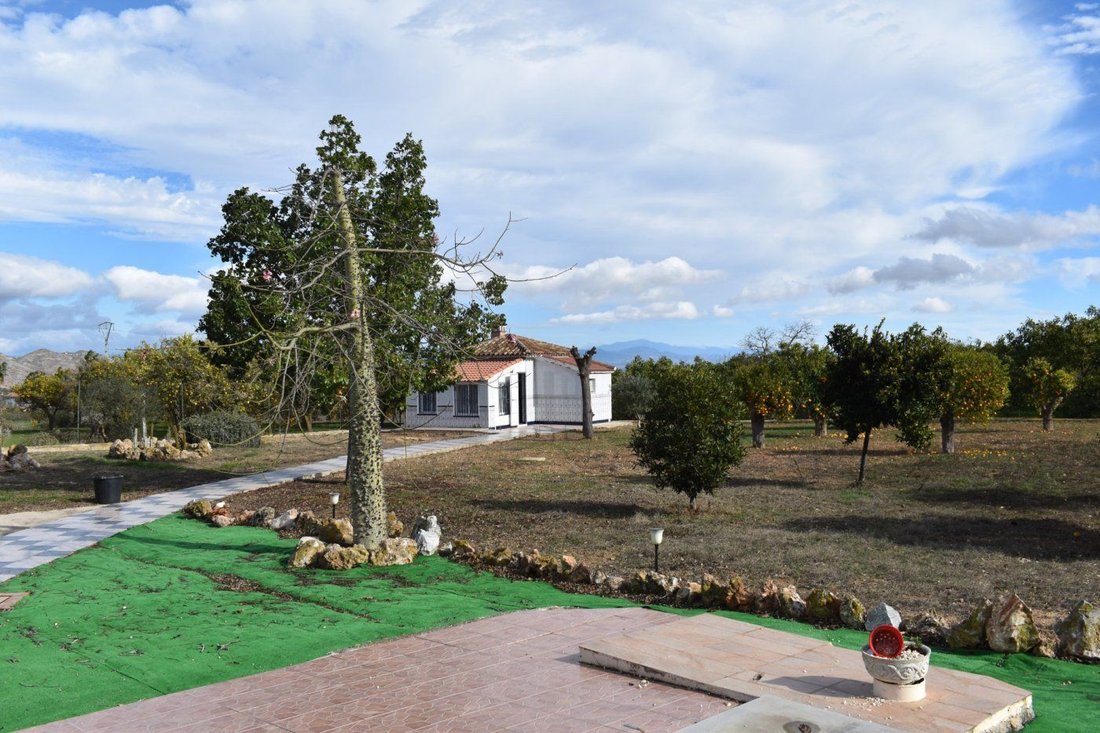House in Alhaurin el Grande, Andalusia, Spain 3 - 17947748