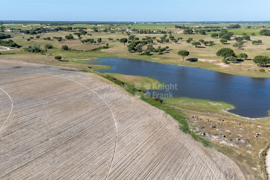 Land in Palmela, Setubal, Portugal 3 - 17954335