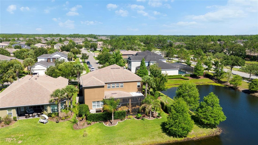 House in Land O' Lakes, Florida, United States 4 - 17951576
