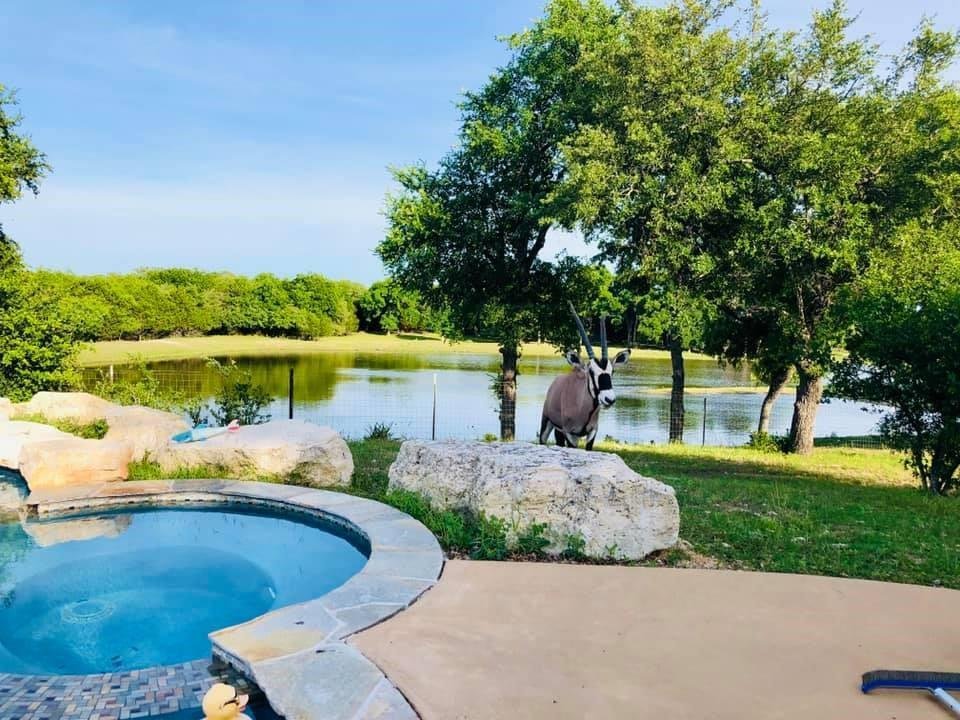 Farm Ranch in Burnet, Texas, United States 1 - 17952602