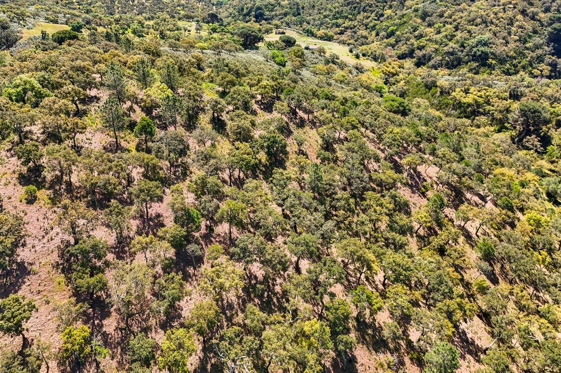 Land in Grandola e Santa Margarida da Serra, Setubal, Portugal 2 - 17955560