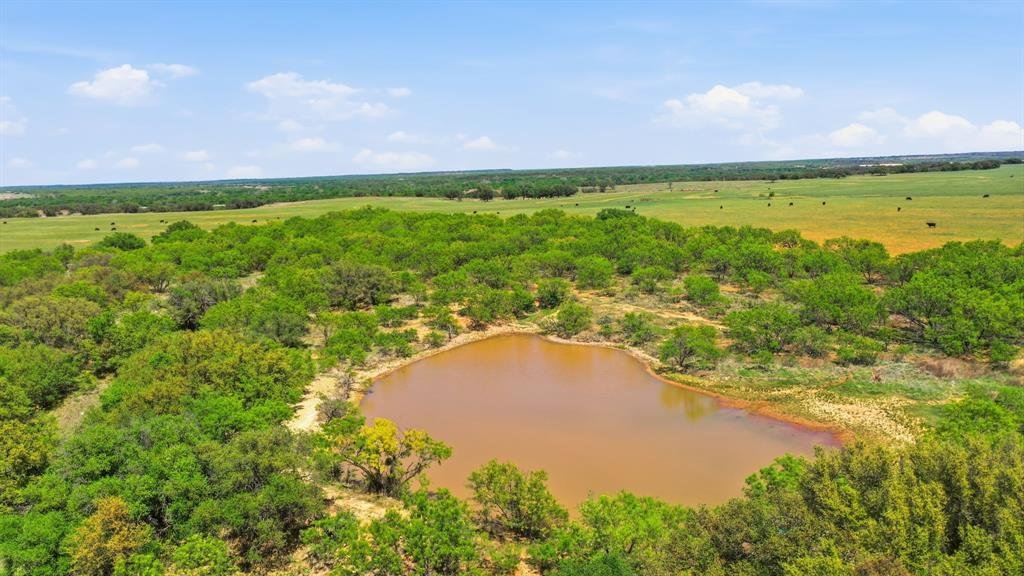 Farm Ranch in Newcastle, Texas, United States 5 - 17952361