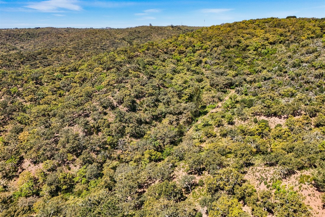Land in Grandola e Santa Margarida da Serra, Setubal, Portugal 3 - 17955560