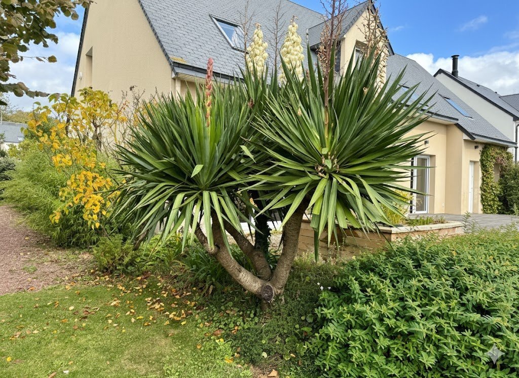 House in Saint-Jean-le-Thomas, Normandy, France 2 - 17954199