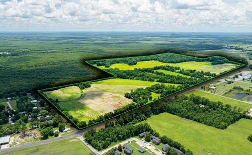 Farm Ranch in Delhi, Louisiana, United States 1