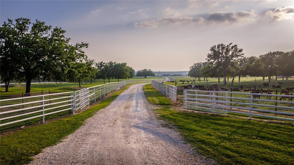 Farm Ranch in Hico, Texas, United States 3 - 17952506