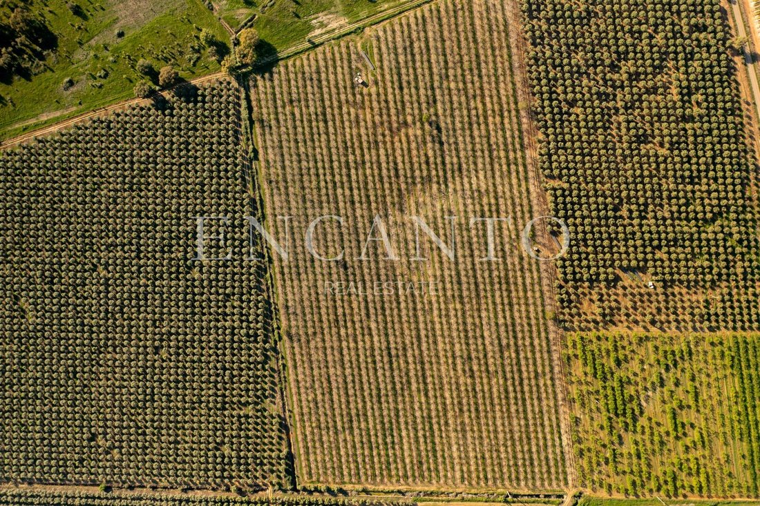 Estate in Cano, Portalegre District, Portugal 3 - 17954303