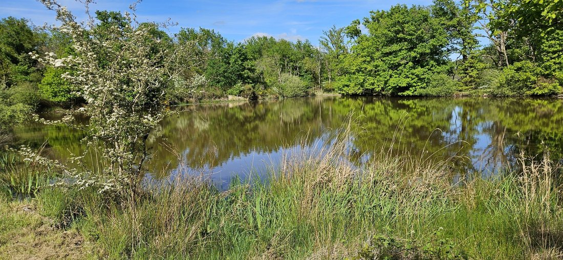 Land in Migné, Centre-Val de Loire, France 3 - 17954478
