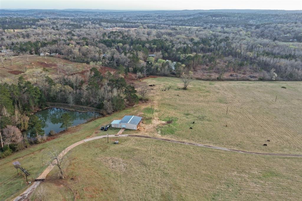 Farm Ranch in Jacksonville, Texas, United States 3 - 17952427