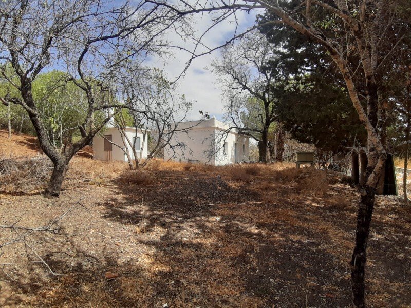 Land in Casares, Andalusia, Spain 2 - 17947229