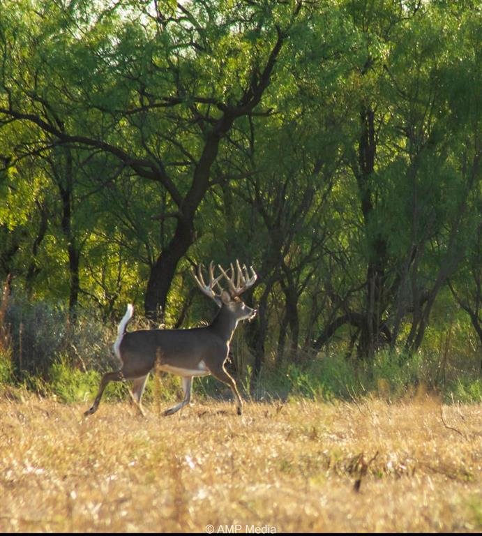 Land in Rule, Texas, United States 5 - 17952758