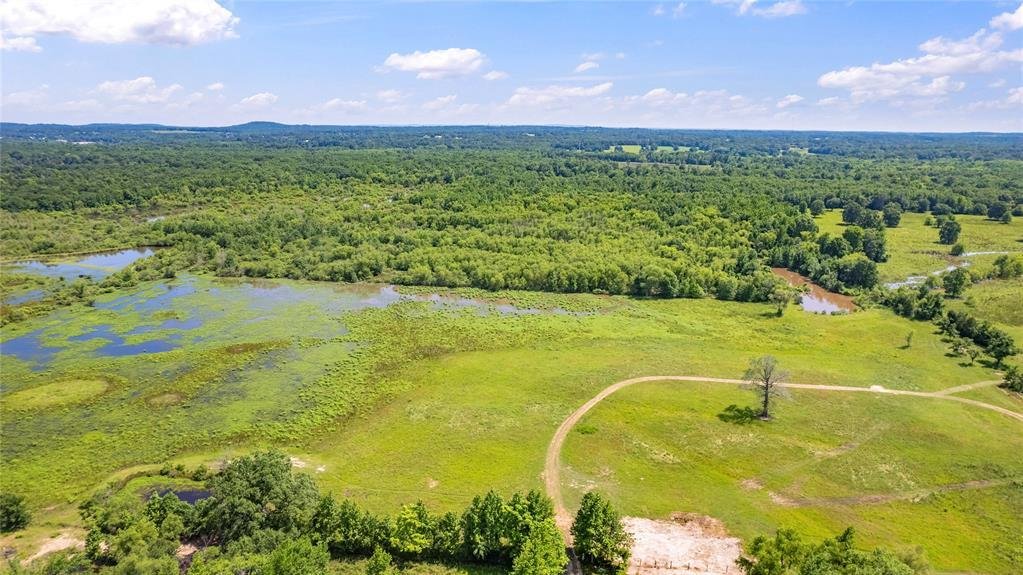 Farm Ranch in Brownsboro, Texas, United States 2 - 17952433