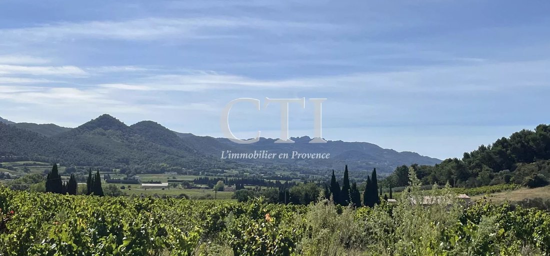 Estate in Saint-Quintin-sur-Sioule, Auvergne-Rhône-Alpes, France 4 - 15913716