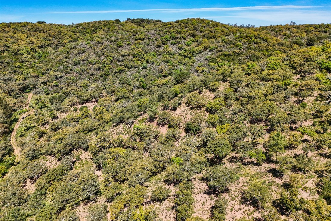 Land in Grandola e Santa Margarida da Serra, Setubal, Portugal 4 - 17955560