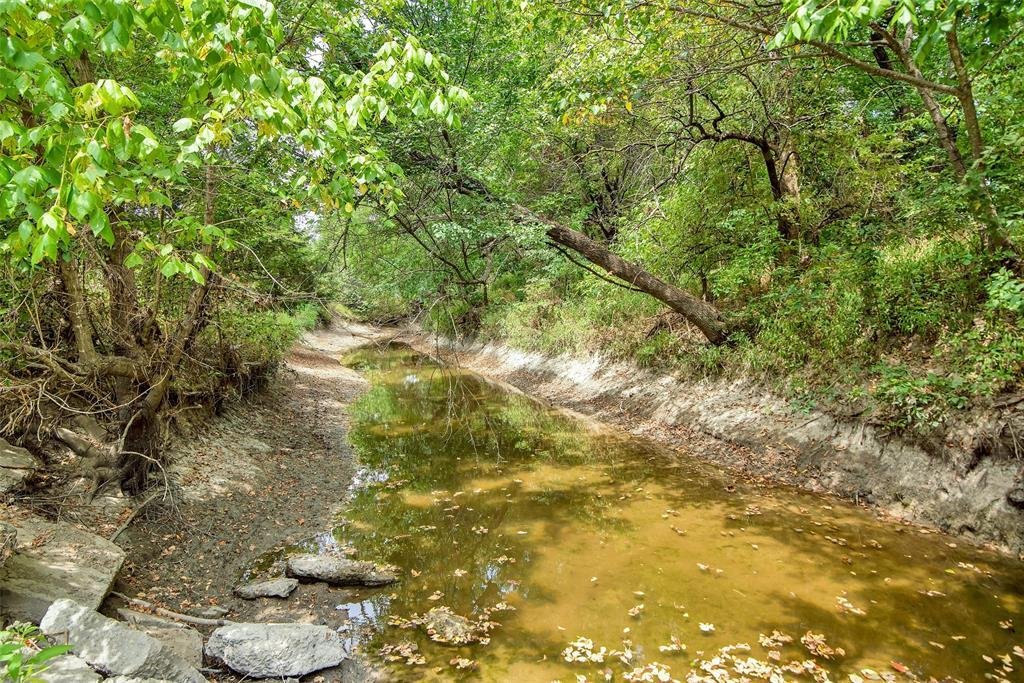 Farm Ranch in Blue Ridge, Texas, United States 1 - 17952591