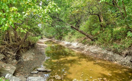 Farm Ranch in Blue Ridge, Texas, United States 1