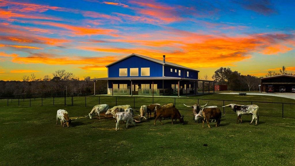 Land in Buffalo, Texas, United States 1 - 17952146