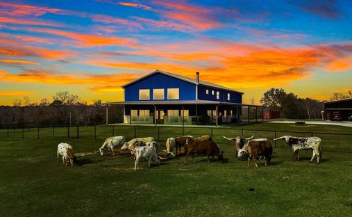 Land in Buffalo, Texas, United States 1