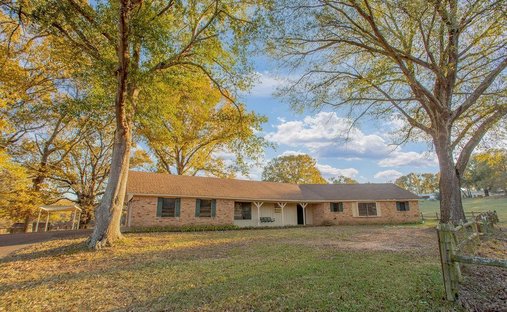 Terrain à Tyler, Texas, États-Unis 1