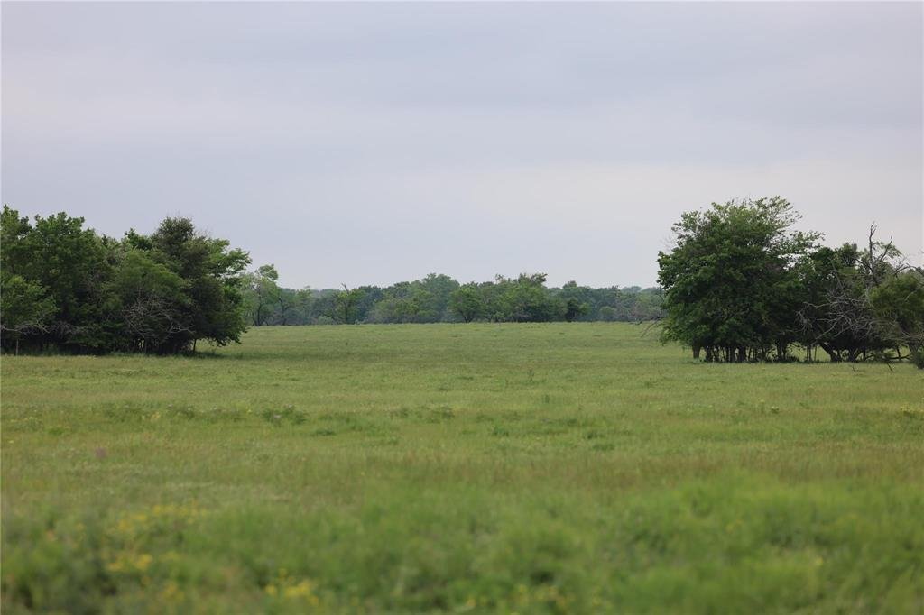 Farm Ranch in Wortham, Texas, United States 1 - 17952314
