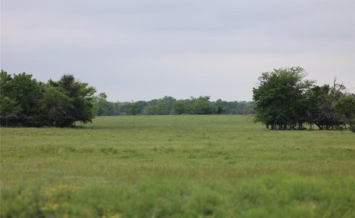 Land in Wortham, Texas, United States 1